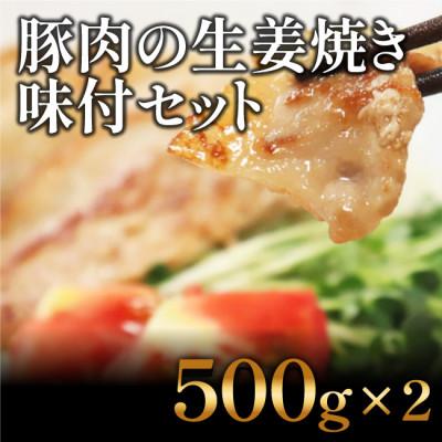 ふるさと納税 高知市 豚肉の生姜焼き 味付けセット(500g×2)[AP023]