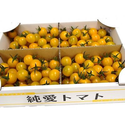 ふるさと納税 足利市 栃木県足利産こだわりミニトマト 甘さいっぱい「純愛トマト」2kg