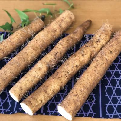 ふるさと納税 周南市 『自宅用』よくばり自然薯セット