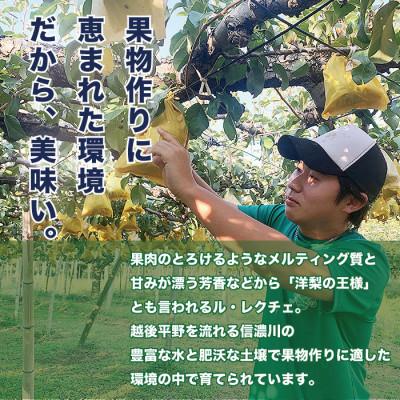 ふるさと納税 加茂市 「青柳果樹園のルレクチェ」 西洋梨 良品家庭用 2kg(5〜7玉)|ふるさと納税 冬限定新潟の味覚_2