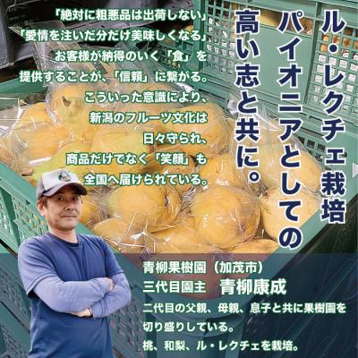 ふるさと納税 加茂市 「青柳果樹園のルレクチェ」 西洋梨 良品家庭用 2kg(5〜7玉)|ふるさと納税 冬限定新潟の味覚_3
