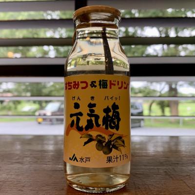 ふるさと納税 城里町 はちみつ&amp;梅ドリンク「元気梅」[180ml×20本]