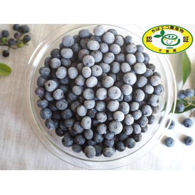 ふるさと納税 芝山町 [栽培期間中農薬不使用]大粒冷凍ブルーベリー 1kg「るりしずく」 千葉県 芝山町産