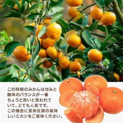 ふるさと納税 吉野ヶ里町 佐賀県産 極早生みかん 約2.5kg(吉野ヶ里町) |  | 01