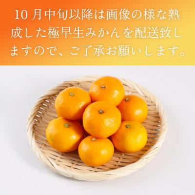 ふるさと納税 吉野ヶ里町 佐賀県産 極早生みかん 約2.5kg(吉野ヶ里町) |  | 02