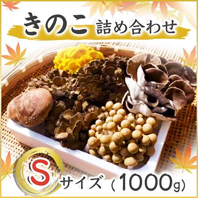 ふるさと納税 城里町 きのこの詰め合わせSサイズ(1000g) | 