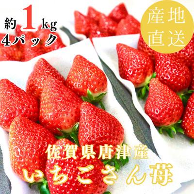 ふるさと納税 唐津市 [濃厚苺いちごさん]約1kg 沢山の日光を浴びた苺![2027年3月より順次発送予定]