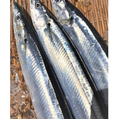 ふるさと納税 いわき市 新鮮さんま2kg