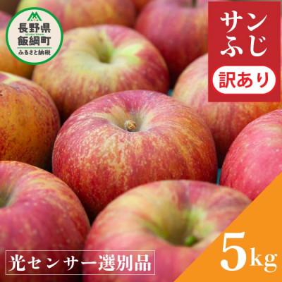ふるさと納税 飯綱町 2025年12月以降出荷 訳あり りんご サンふじ 5kg 光センサ 糖度12度以上 12〜25玉