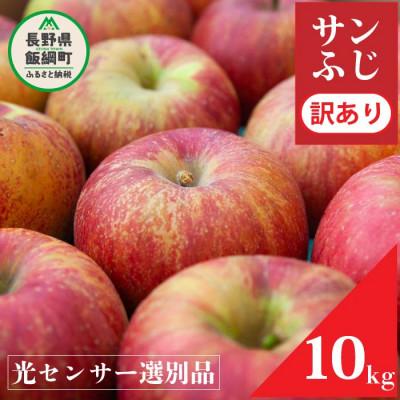 ふるさと納税 飯綱町 2026年12月以降出荷 訳あり りんご サンふじ 10kg 光センサー
