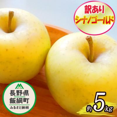 ふるさと納税 飯綱町 2026年11月以降出荷 訳あり りんご シナノゴールド 約5kg 光センサー選果 12〜25玉