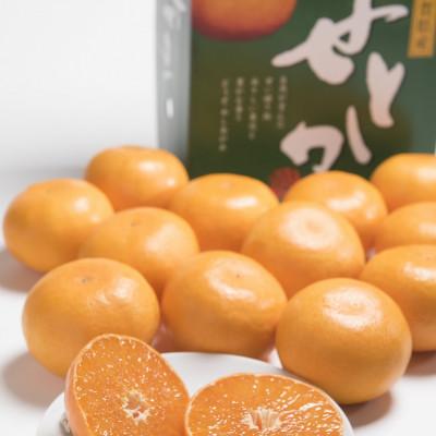 ふるさと納税 吉野ヶ里町 [2026年発送先行受付]佐賀産かんきつ・せとか 約1.5kg箱(4-7玉)(吉野ヶ里町)