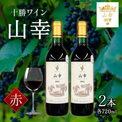 ふるさと納税 池田町 十勝ワイン 山幸2本セット : Yahoo!ふるさと納税