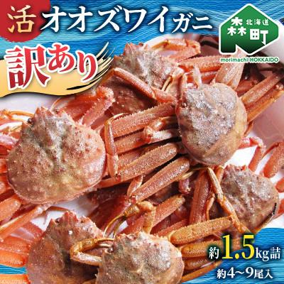 ふるさと納税 森町 【訳あり】北海道噴火湾産 活オオズワイガニ(中小サイズ)1.5kg詰め込みセット