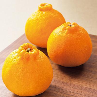 ふるさと納税 吉野ヶ里町 [2026年発送先行受付]佐賀産かんきつ・デコポン8-11玉(約2.5kg箱)(吉野ヶ里町)