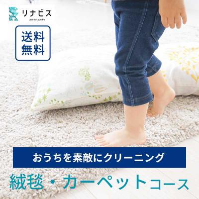 ふるさと納税 袋井市 リナビスの絨毯クリーニング クーポン