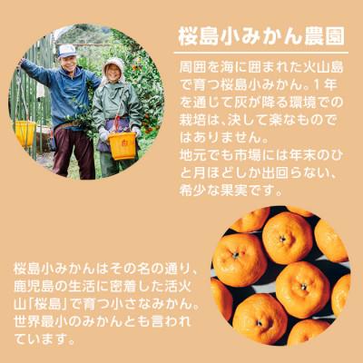 ふるさと納税 日置市 国産クラフトジン KOMASA GIN(45%)桜島小みかん