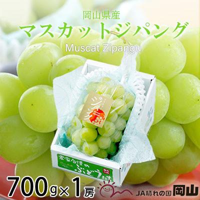 ふるさと納税 岡山市 [2026年7月下旬より順次発送]岡山県産 マスカットジパング 700g×1房