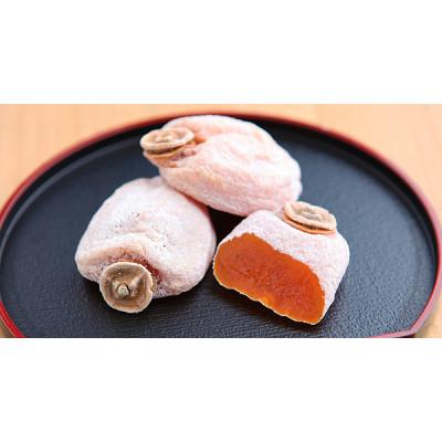 ふるさと納税 飯田市 市田柿 輝き