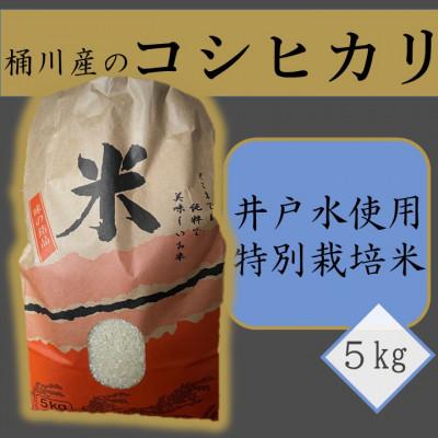 ふるさと納税 桶川市 桶川産のコシヒカリ(井戸水使用・特別栽培米)5kg 精米