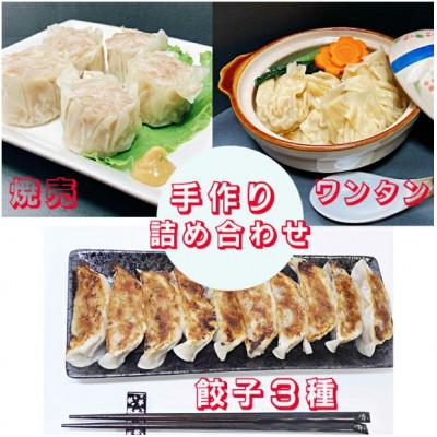 ふるさと納税 花巻市 カスイ 手作り 餃子3種・焼売・ワンタン詰合せセット(5種類)