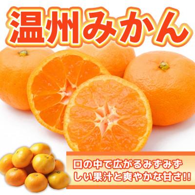 ふるさと納税 吉野ヶ里町 佐賀県産温州みかん 2.5kg(吉野ヶ里町)
