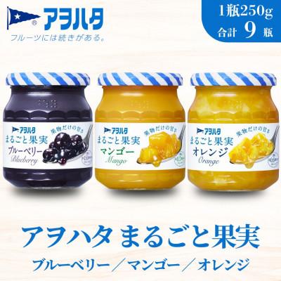 ふるさと納税 竹原市 アヲハタ まるごと果実 3種9瓶(1瓶250g〜256g)ブルーベリー/マンゴー/オレンジ 各3瓶