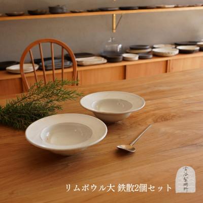 ふるさと納税 甲賀市 信楽焼 リムボウル(大) 鉄散 2枚セット | 