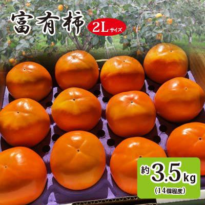 ふるさと納税 石岡市 富有柿2L 秋の果物 茨城の柿(個数おまかせ)