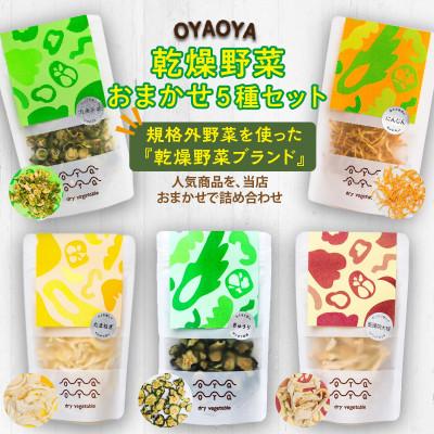 ふるさと納税 京丹後市 OYAOYA乾燥野菜おまかせ5種セット 京都産規格外野菜を使ったドライ野菜 常備食や保存食 ギフトに