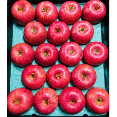 ふるさと納税 横手市 樹上完熟 サンフジ ご家庭用 約5kg