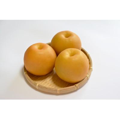 ふるさと納税 南島原市 [南島原産]新高梨独特の大きさと食感がウリです。新高梨(約8個から9個)