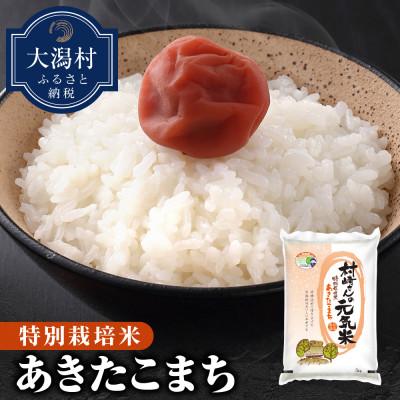 ふるさと納税 大潟村 [玄米]大潟村産あきたこまち特別栽培米5.5kg [令和7年産]