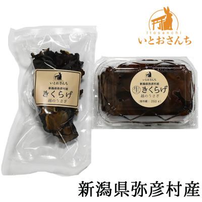 ふるさと納税 弥彦村 新潟県弥彦村産 越のうさぎ 生きくらげ250g、乾燥きくらげ25g 詰め合わせセット