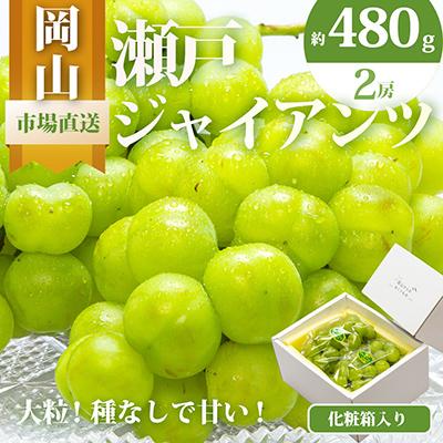 ふるさと納税 総社市 岡山県産 瀬戸ジャイアンツ2房 (1房480g以上)合計約1kg 化粧箱入り