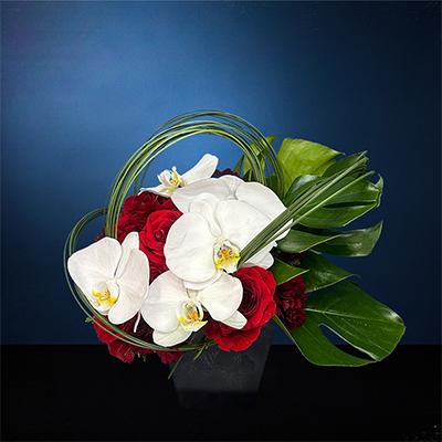 ふるさと納税 我孫子市 胡蝶蘭 生花アレンジメント[055]