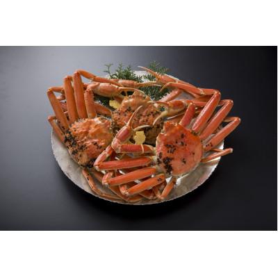 ふるさと納税 鯖江市 [11月6日漁解禁]福井冬の味覚!越前がに 900-1,000g × 3杯