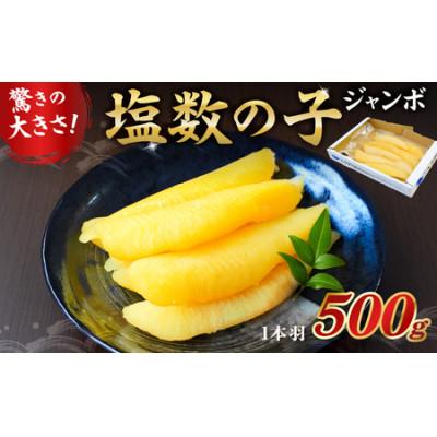 ふるさと納税 南房総市 数の子ジャンボ 1本羽 500g mi