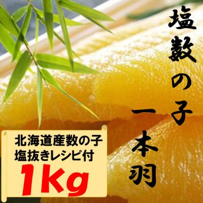 ふるさと納税 南房総市 数の子ジャンボ(北海道産) 1本羽 1kg 小分け(500g×2袋) mi