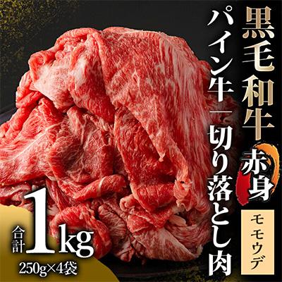 ふるさと納税 宮崎市 宮崎県産黒毛和牛パイン牛赤身切り落とし(モモウデ)合計1kg(250g×4)