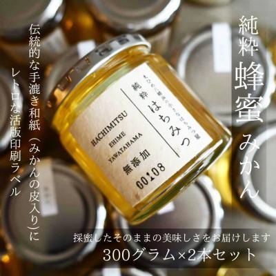ふるさと納税 八幡浜市 純粋はちみつ[みかん蜂蜜]300g×2本セット[D74-1]