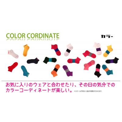 ふるさと納税 葛城市 トレーニングセット　Lサイズ　トレーニングソックス4足/コンプレッションゲーター |  | 03