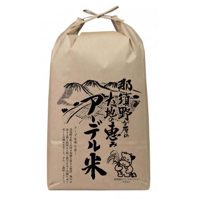 ふるさと納税 那須塩原市 [令和5年産] 那須野が原の大地の恵み アーデル米(コシヒカリ10kg)[お米 那須塩原市]