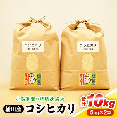 ふるさと納税 桶川市 小島農園の特別栽培米 桶川産コシヒカリ 5kg×2袋