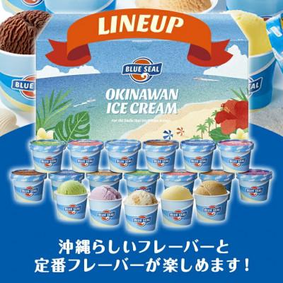 ふるさと納税 浦添市 ブルーシールギフト12種 12個セット 沖縄人気