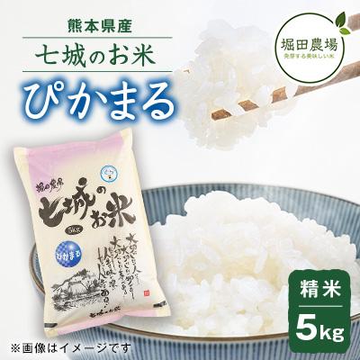 ふるさと納税 菊池市 [熊本県産] 七城のお米 ぴかまる 5kg