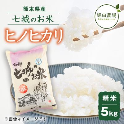 ふるさと納税 菊池市 [熊本県産] 七城のお米 ヒノヒカリ 5kg