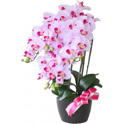 ふるさと納税 川越市 胡蝶蘭 造花 常滑産陶製鉢に入ったシルクフラワーの胡蝶蘭の鉢植 5本立 CT触媒 ライトパープル