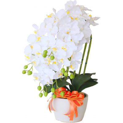 ふるさと納税 川越市 胡蝶蘭 造花 常滑産陶製鉢に入ったシルクフラワーの胡蝶蘭の鉢植 5本立 CT触媒 ホワイトイエロー