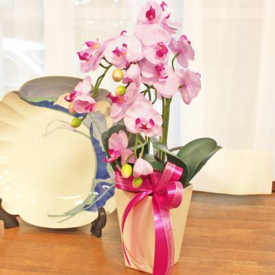 ふるさと納税 川越市 胡蝶蘭 造花 シルクフラワーのミニ胡蝶蘭の鉢植 3本立 CT触媒 ライトパープル